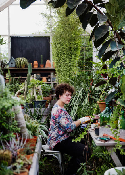 istock Woman working in a garden shop 876873486