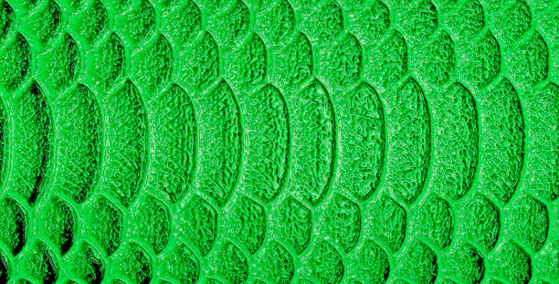 istock Golden snake skin, can be used as a background 876874036
