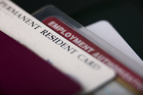 istock USA Green Card or permanent resident card and employment authorization card 876877894