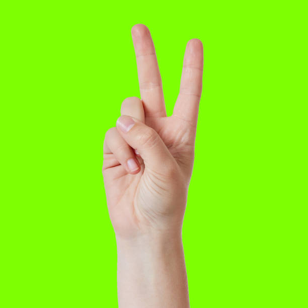 istock Hand with two raised fingers counts '2' against green 876886476