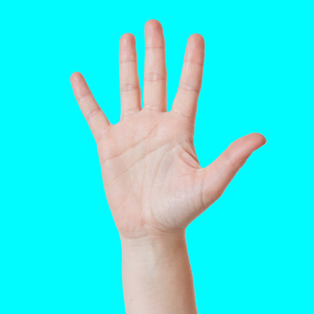 istock Hand with outstretched fingers counts '5' 876886676