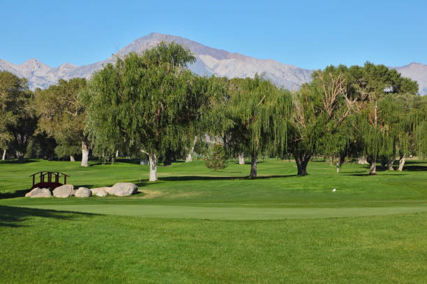 le pittoresque parcours de golf - lawn desert golf california photos et images de collection