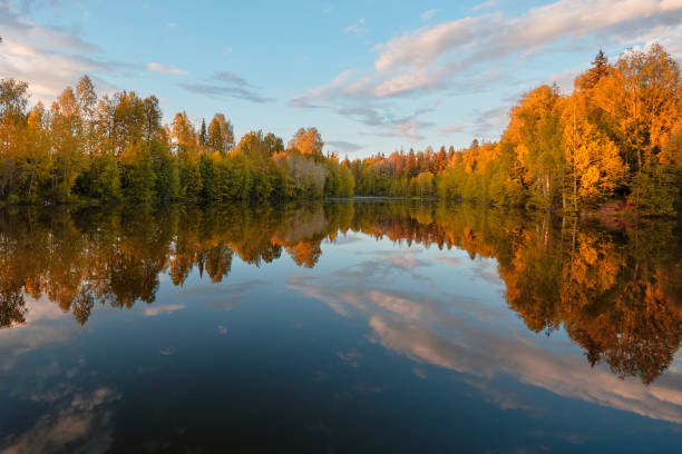 istock Autumn. Reflection of trees in water 876894414