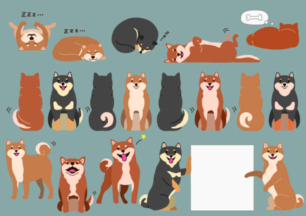柴犬 イラスト素材 秋田犬 チワワ プードル Istock 柴犬 イラスト素材 秋田犬 チワワ プードル Istock