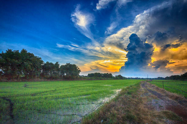istock Green Field and Beautiful Sunset 876899120