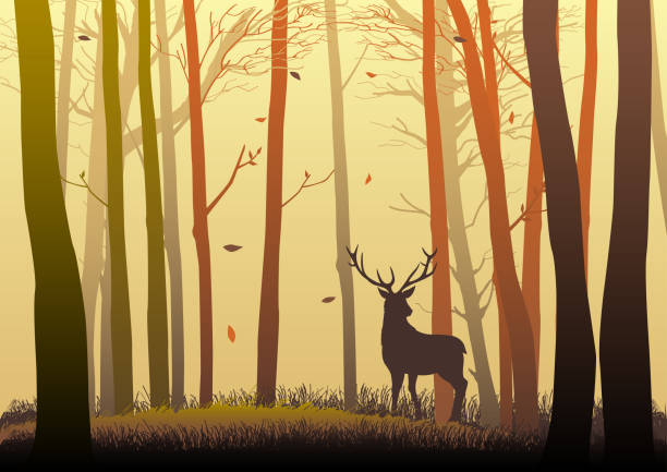 숲에 있는 사슴의 실루엣 - deer season stock illustrations