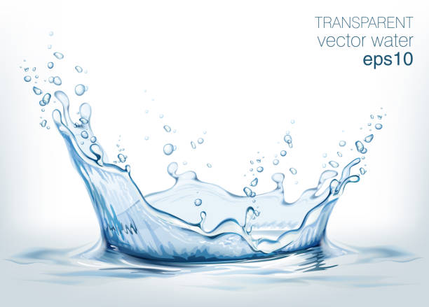 transparenter vektor wasserspritzer und welle auf lichthintergrund - water drop backgrounds macro stock-grafiken, -clipart, -cartoons und -symbole