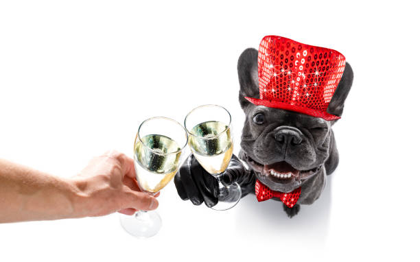 istock happy new year dog celberation 876915414