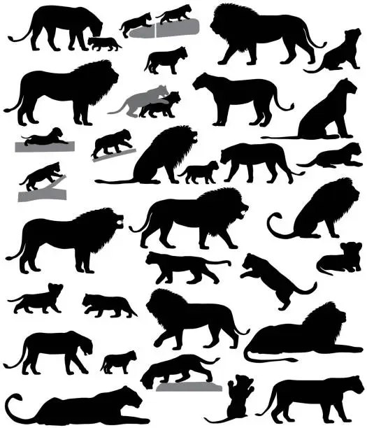 Vector illustration of Silhouettes of lions and lion cubs