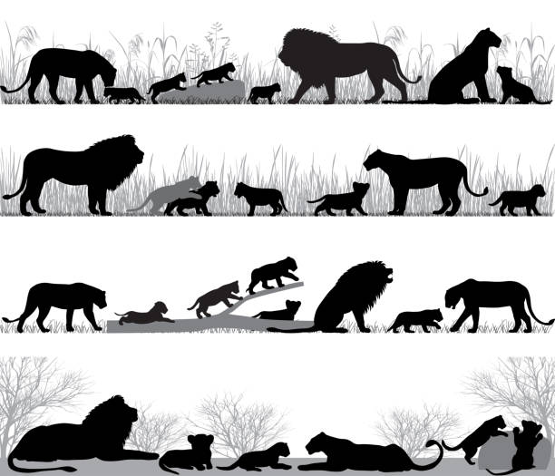 Lions Family Silhouette Stock Illustration - Download Image Now - In  Silhouette, Cub, Lion - Feline - iStock