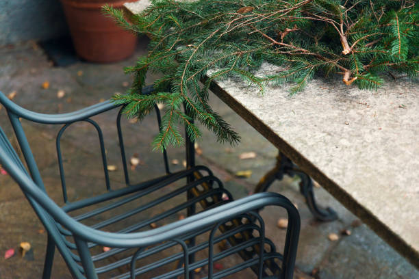 istock Pine needles on table in late Winter afternoon 876919674
