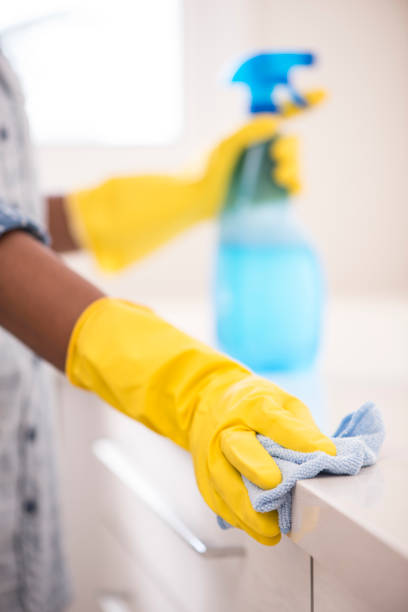 istock Housekeeping cleaning home. 876919894