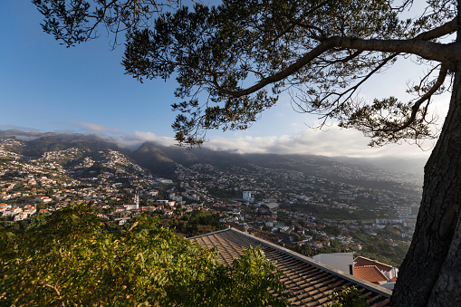 Panoramic view with sunrise over Funchal  - the capital of Madeira; Portugal