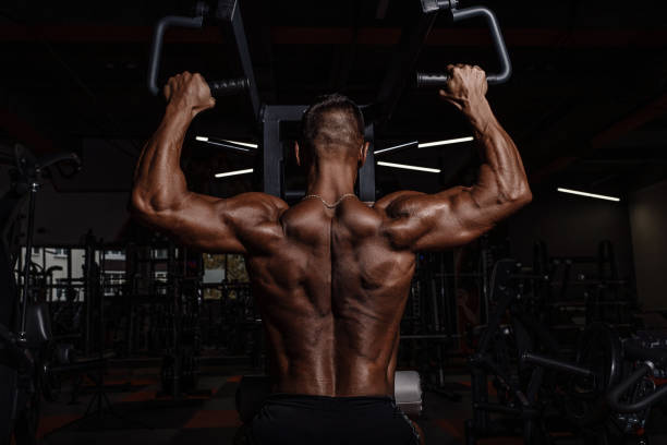 istock Handsome man with big muscles working out in gym. Muscular bodybuilder doing exercises. 876923200