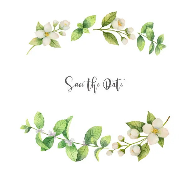 Vector illustration of Watercolor vector wreath of flowers Jasmine and mint isolated on a white background.