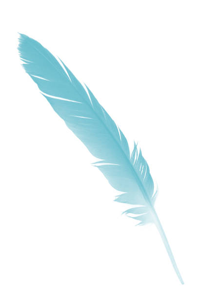 istock feather color turquoise emerald green on white background 876930356