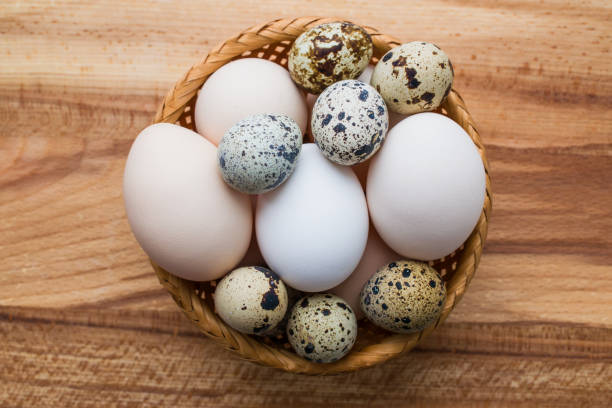 istock Raw quail and chicken eggs closeup 876931242