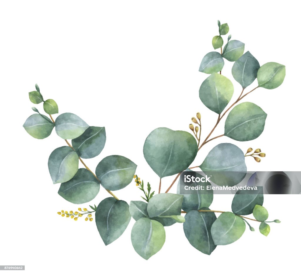Watercolor vector wreath with green eucalyptus leaves and branches. Watercolor vector wreath with green eucalyptus leaves and branches. Spring or summer flowers for invitation, wedding or greeting cards. Leaf stock vector