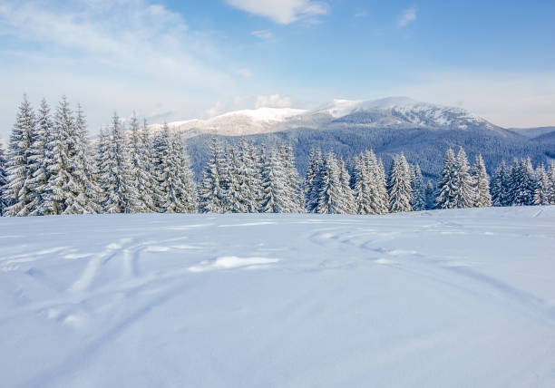 istock Mountain range in the Carpathians in winter 876948244