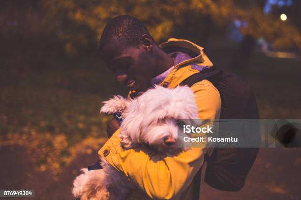 My All Stock Photo - Download Image Now - Night, Cold Temperature, Dog