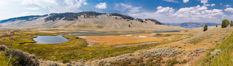 Yellowstone National Park, Park County, Wyoming, United States. Lamar River in the Lamar Valley.