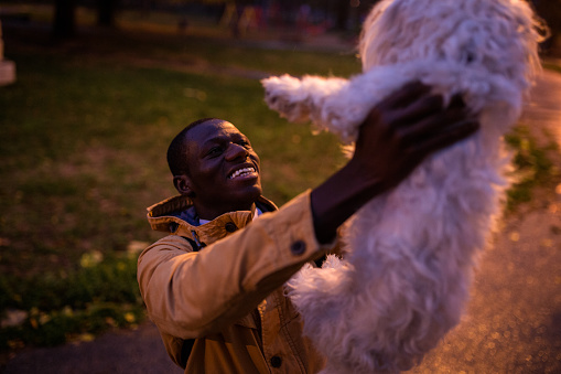 Cheerful Guy Holding White Maltese Dog In The Air