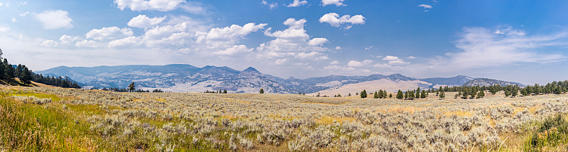 Yellowstone National Park, Park County, Wyoming, United States. In the Lamar Valley.