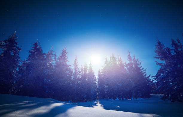 Please zoom in to see the snow glitter in the moonlight