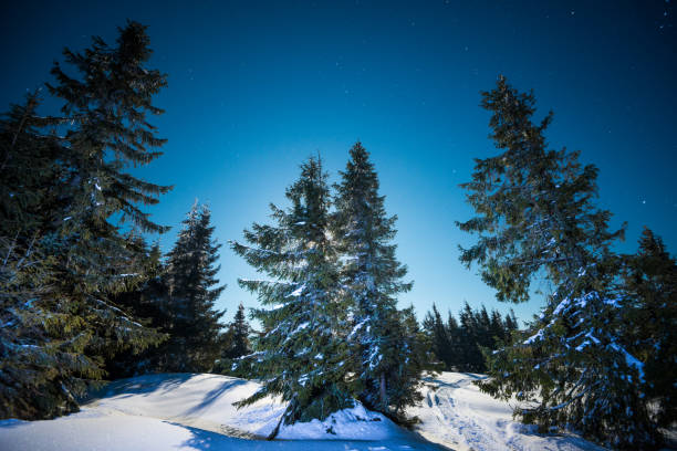 istock Night stars in the snowy mountains 876957092