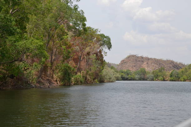 istock KATHERINE GORGE & NITMILUK NATIONAL PARK 876958322