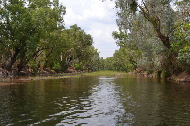 istock KATHERINE GORGE & NITMILUK NATIONAL PARK 876958326