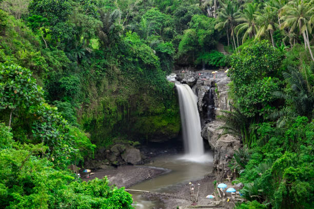 istock Big waterfall in green forest at summer. Bali, Indonesia 876958476