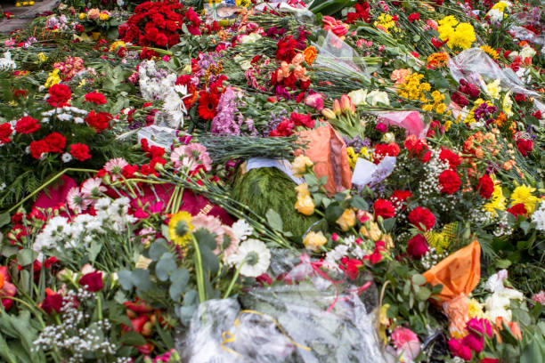 istock Carnation flowers symbol of mourning 876961002