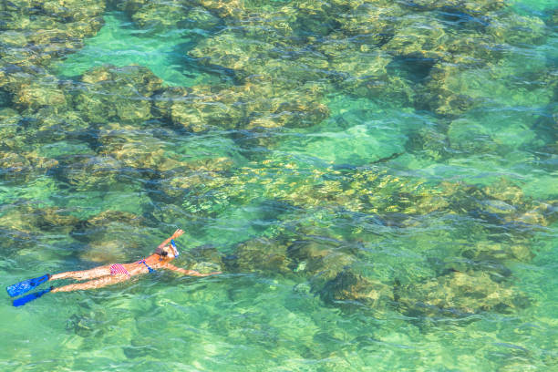 buceo con esnórquel en la bahía de hanauma - hanauma bay hawaii islands oahu bay fotografías e imágenes de stock