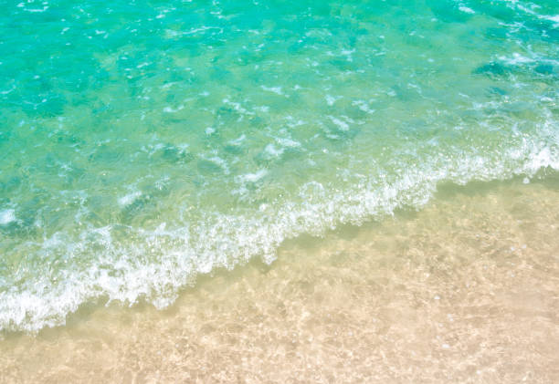 istock White bubble of Sea wave on the beach 876965724