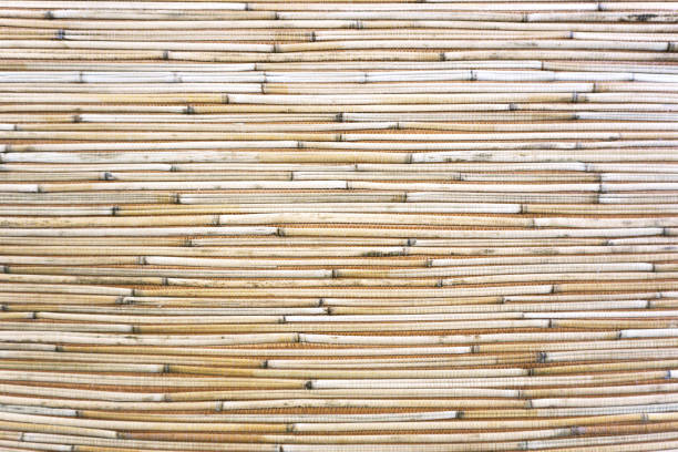 istock Texture of brown bamboo curtain close up. 876969780