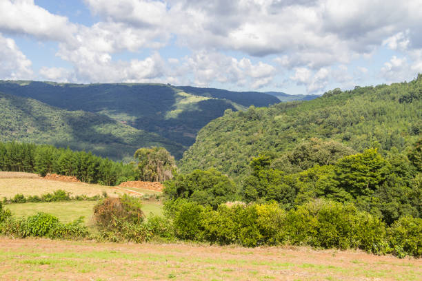 istock Farm in Valley and mountains in Nova Petropolis 876970742