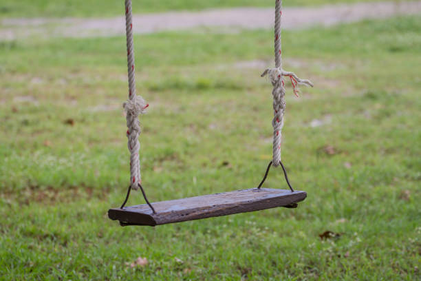 istock Wooden swing in the garden 876978242
