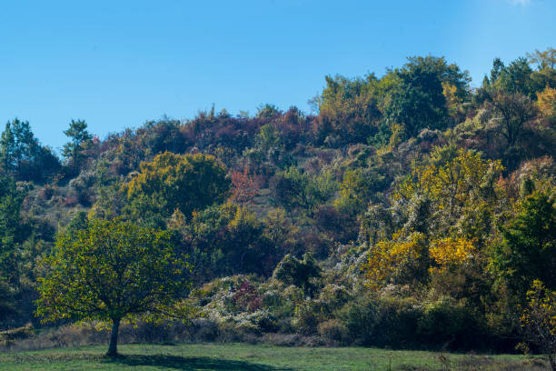 istock Autumn  mountain landscape 876978398
