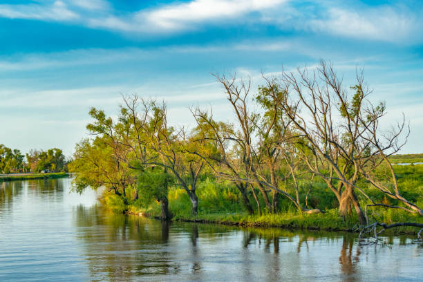 istock Parana River, San Nicolas, Argentina 876982676
