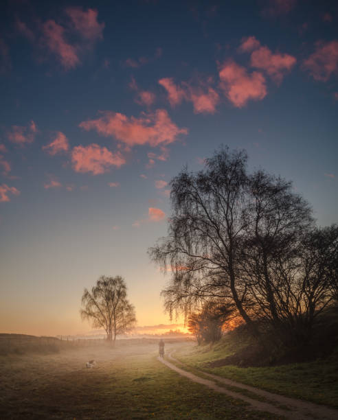 istock Field in the sunrise 876997846