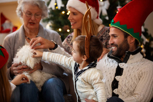 istock Family for Christmas caress small dog 876998164