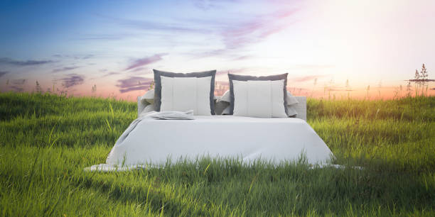istock Snow-white bed in a beautiful summer field. 3d rendering 877001798