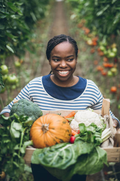 istock Farmer holding box with fresh organic vegetables 877005864