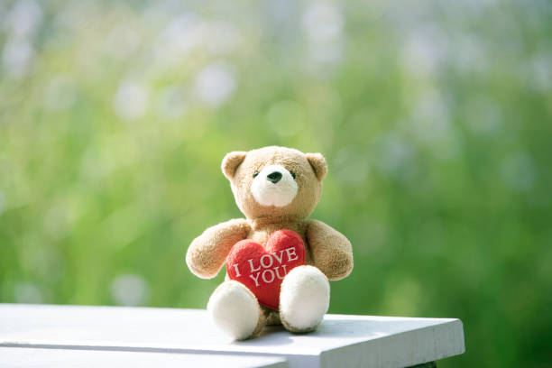 istock Brown bear and red heart with blurred floral floor. 877006012