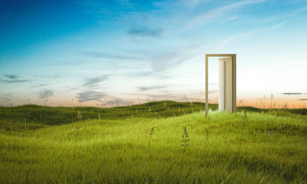 Opened door on beautiful field. 3d rendering stock photo