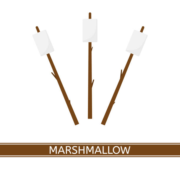 Marshmallow on stick Vector illustration of marshmallow on wooden stick isolated on white background, flat style. hiking snack stock illustrations