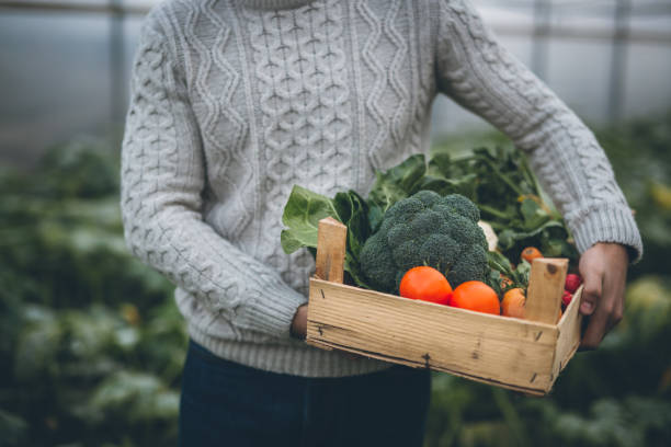 istock Young farmer with crate full of vegetables 877006756