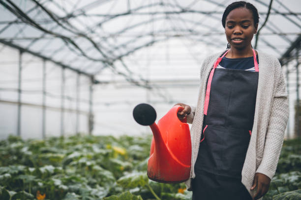 istock Gardening is my life 877006874