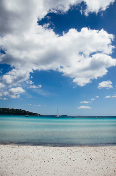 sunny morning scenery at the sea. calm waves washing the sandy beach. transparent water and bright blue sky